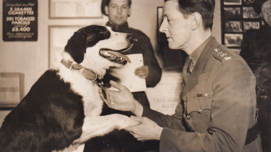 Rob the Dog Dickin Medal