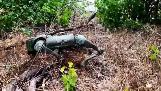 Robodog being trialled by Ukraine 050824 CREDIT Ukrainian Armed Forces