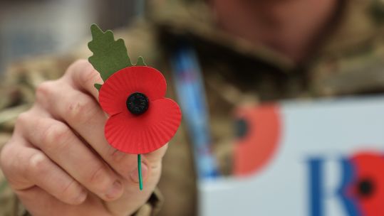 The poppy has been a symbol of Remembrance since the First World War