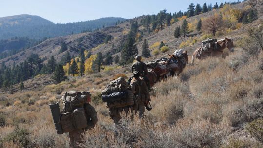 Royal Marines 40 Commando Horses Mojave Desert California 211220 CREDIT ROYAL NAVY