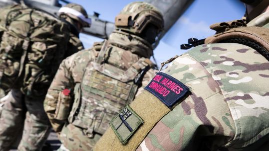 File image of Royal Marines training with US Marines