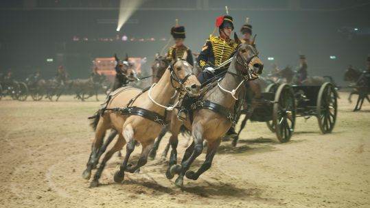 Rehearsals at Earls Court, London, for the 2013 Royal Tournament (Picture: Lee Thomas / Alamy).