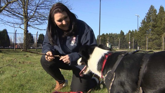 Woman Says Military Charity Saved Her Life