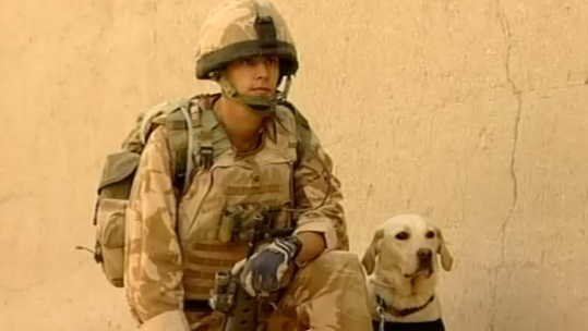 Hero Army Dog Given Award