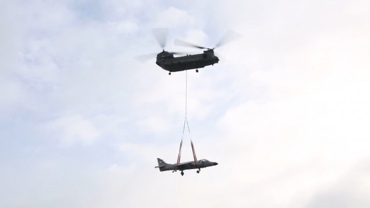 CHINOOK HARRIER