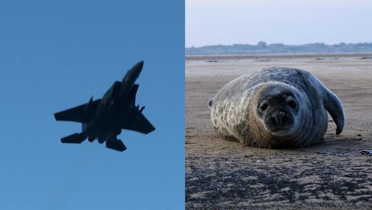 Seals versus Bombing Range 16122022 CREDIT BFBS