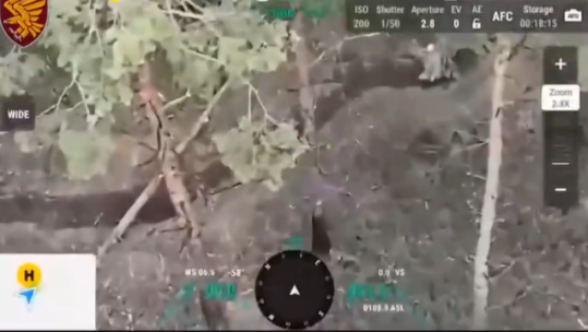 Soldier saved from Russian captivity with use of a drone (Picture: 95th Separate Polesian Air Assault Brigade)