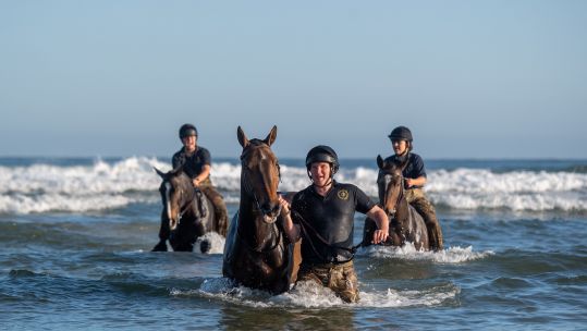 Soldiers and horses from The King's Troop Royal Horse Artillery exercise in the sea at Holkham