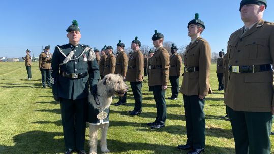 Soldiers from the Royal Irish Regiment mark St Patrick's Day weekend celebrations.