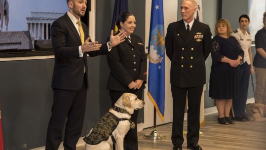 Sully becomes Navy dog 280219 CREDIT US Navy