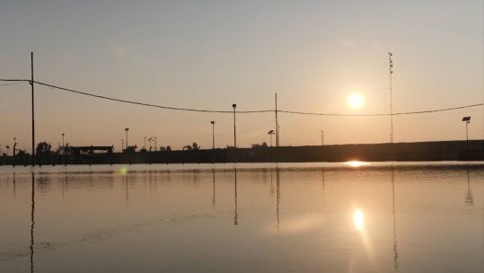 Camp Taji