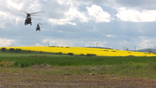 Exercise Hawk Owl 240519 CREDIT BFBS