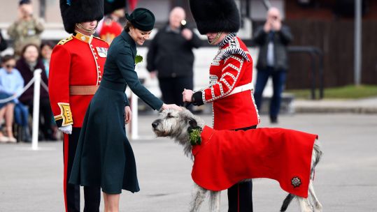 The Duchess of Cambridge visiting the 1st Battalion Irish Guards, and their mascot, at the St. Patrick's Day Parade, Mons Barracks in Aldershot