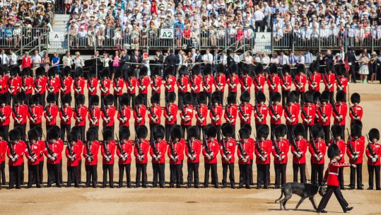 The Irish Guards get ready for the Queen's 2017 Birthday Parade - Anonymous 170617 CREDIT MOD