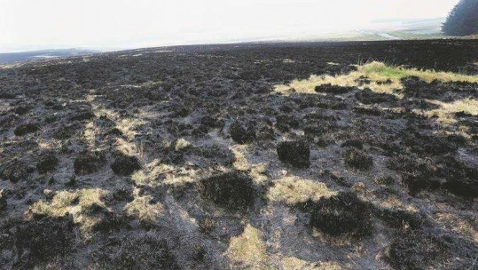 The aftermath of the fire at the training area in Brecon Beacons (Picture: Wales News Service).