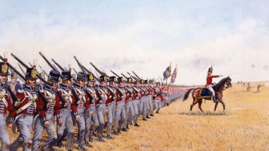 Wellington Napoleon