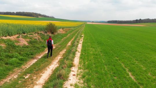 The Western Front Way Walk Cycle Path Route Person Walking (Picture: The Western Front Way).