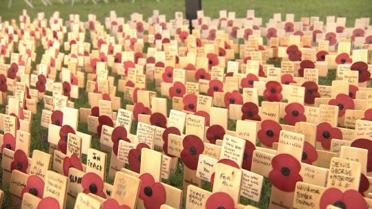 Thoughts from visitors at NMA field of remembrance 041119 CREDIT BFBS.jpg 