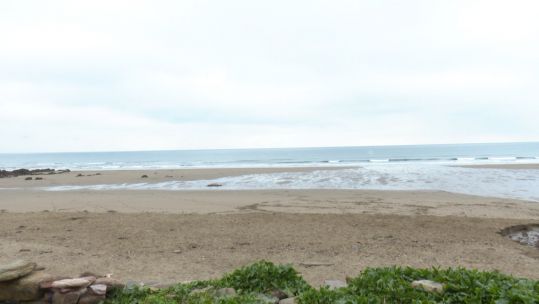 Tregantle Beach in Cornwall 8 240120 CREDIT BFBS