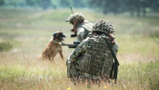 British troops on Sennelager range