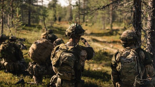 UK troops look through the woods on Exercise Vigilant Knife in Finland