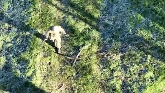 Ukraine Drone Surrender 271122 CREDIT UKRAINE TERRITORIAL DEFENSE FORCES WAGNER MERCENARY SURRENDERS TO UKRAINIAN DRONE