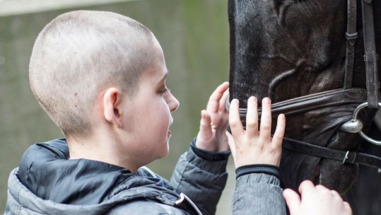 GALLERY: Young Cancer Patients Visit Household Cavalry