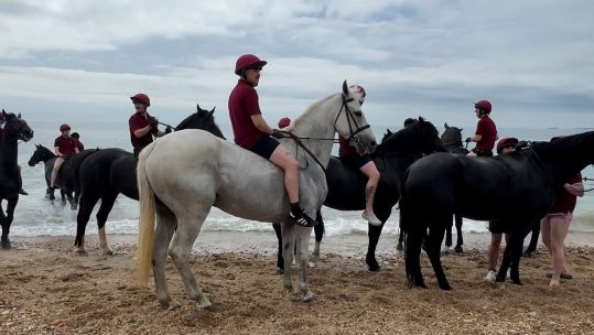 Vida visits Hayling Island
