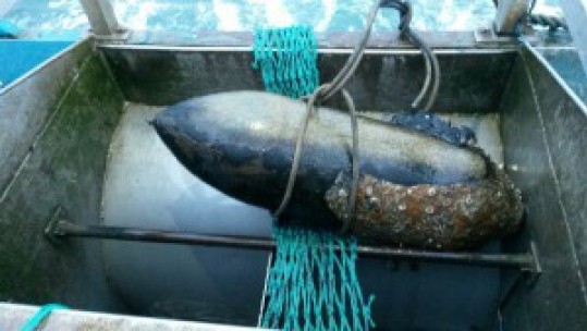 1,000lb WWII Bomb Detonated Off Tyneside Coast
