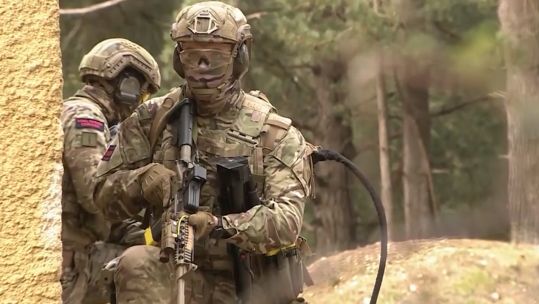 Members of the British Army training in a forest environment