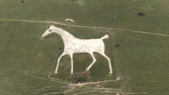 White horse