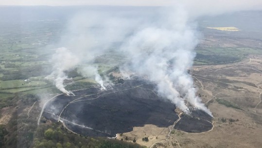 Woodbury Common Fire