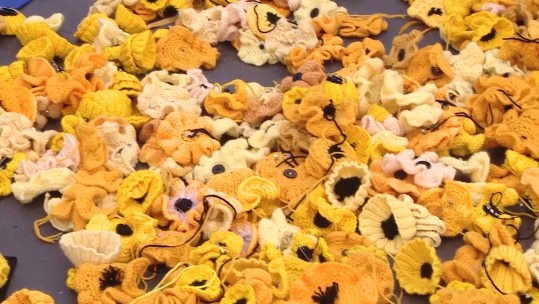 Yellow poppies at the Invictus Games 2018.