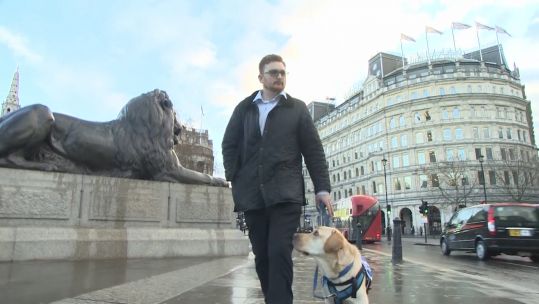 Ziggy the service dog - Soldiering On