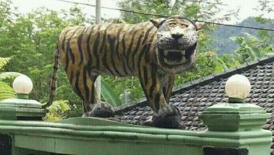 Indonesian Army Tiger