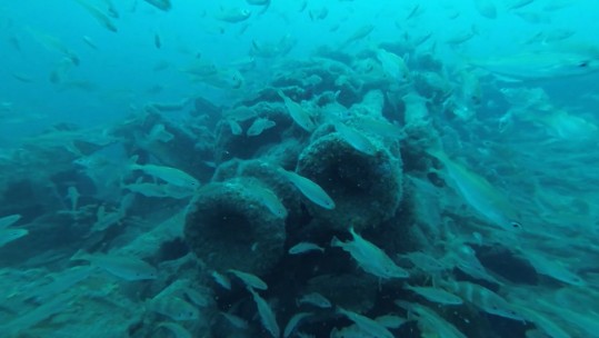 Military Shipwrecks To Get Extra Protection From Treasure Hunters