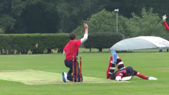army cricket yt tn.jpg 