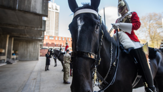Household Cavalry's best turned out soldier?