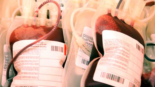 Blood Bags British Army Blood Donation Campaign Credit Shutterstock / Vladimir Mucibabic