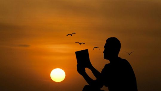 picture of a man reading a book in front of a sunset