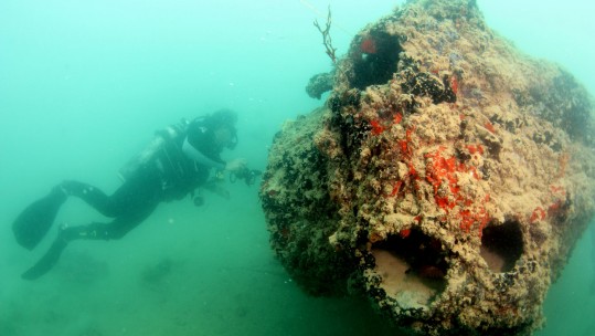 Divers Give Rare Glimpse Of Plane Sunk At Pearl Harbor Divers Give Rare Glimpse Of Plane Sunk At Pearl Harbor