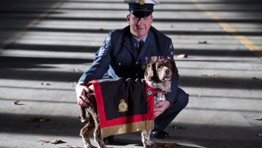 Buster The Special Spaniel That Saved 1,000 Lives Passes Away