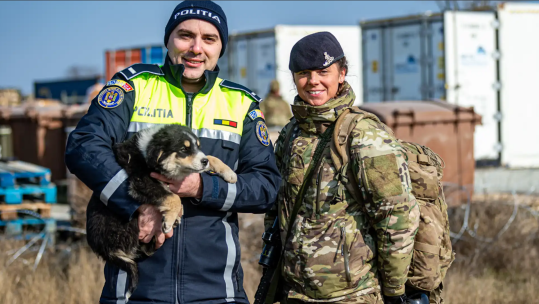 by 4th Regiment Royal Artillery save puppies in Romania CREDIT BRITISH ARMY