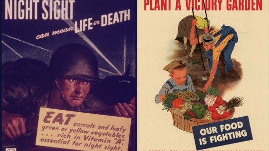 How British Intelligence Popularised Myth Carrots Improve Eyesight