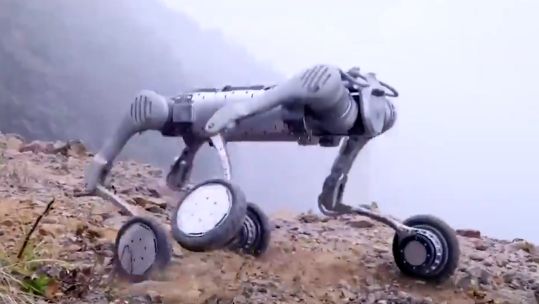 The Unitree B2-W multi-terrain robotic system has been unveiled in China (Picture: Unitree Technology)
