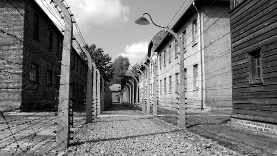 Concentration Camp