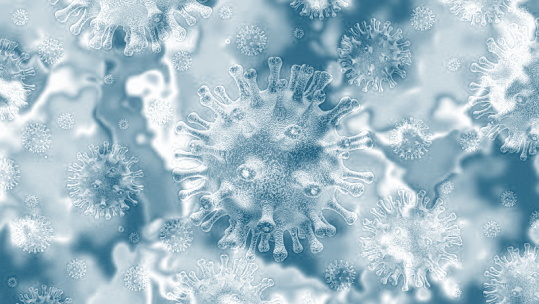 Coronavirus Duotone Credit: Shutterstock / Love You Stock