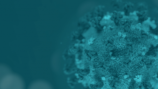 Coronavirus 