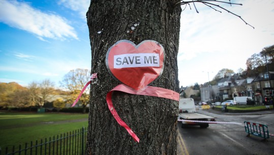 Sheffield Memorial Trees 