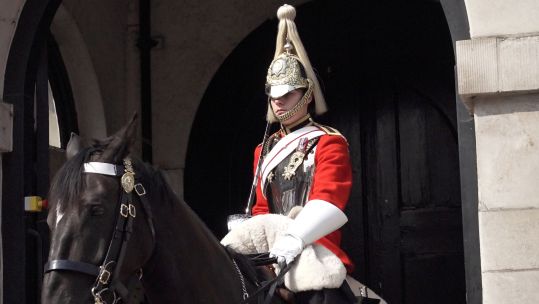 horse at Horse Guards